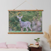 Mooie witte-staartdroer in het veld hangend wandkleed (Slaapkamer)