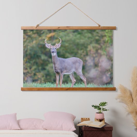 Mooie witte-staartdroer in het veld hangend wandkleed (Slaapkamer)