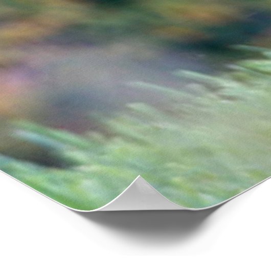 Mooie witte-staartdroer in het veld poster (Hoek)