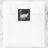 Mooie witte Stickers (Tas)