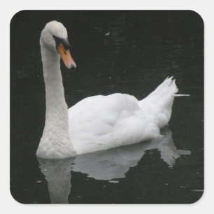 Mooie witte Stickers