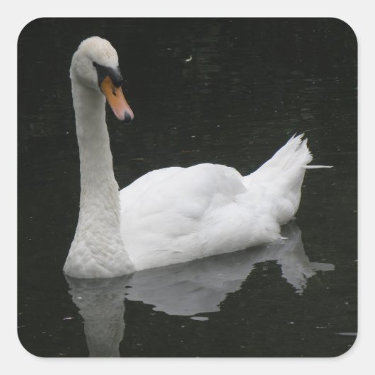 Mooie witte Stickers (Voorkant)