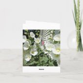 Mooie witte stokjes, sympathie kaart (Achterkant)