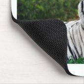 Mooie witte tigers muismat (Hoek)