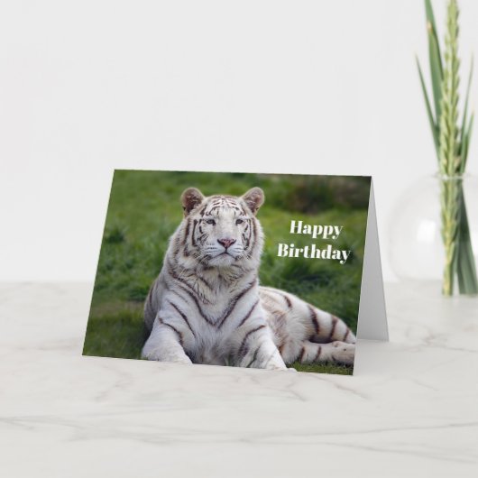 Mooie witte tijger foto van Birthday Kaart (Voorkant)