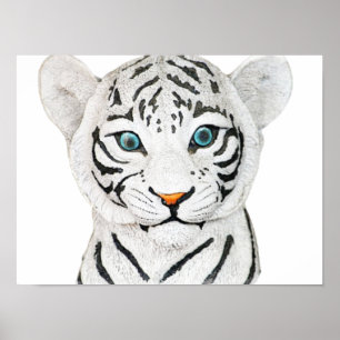 Mooie witte tijger met blauwe ogen poster