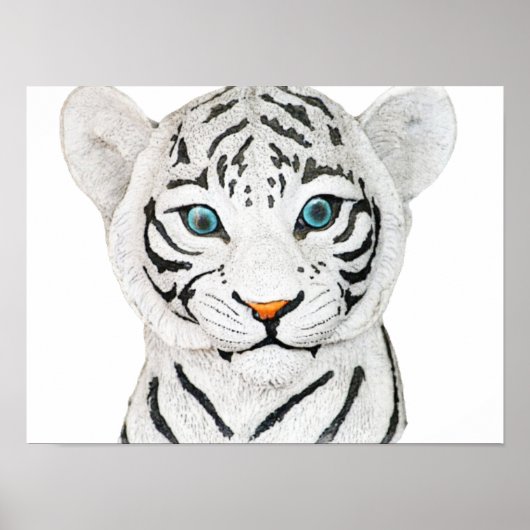 Mooie witte tijger met blauwe ogen poster (Voorkant)