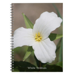Mooie witte trillium notitieboek