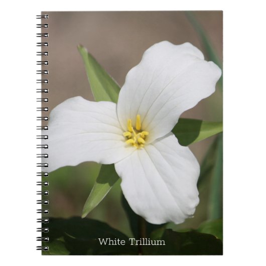 Mooie witte trillium notitieboek (Voorkant)