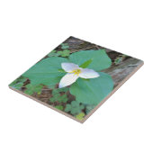 Mooie witte trilliumventiel in het bos tegeltje (Zijkant)