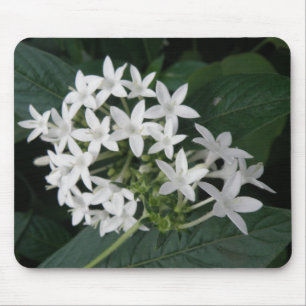 Mooie witte Tropische bloemen Mousepad Muismat