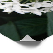 Mooie Witte Tropische Bloemen Print (Hoek)