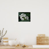 Mooie Witte Tropische Bloemen Print (Keuken)