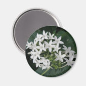 Mooie, witte, tropische drijfnetten Magnet (Voorkant / Achterkant)
