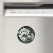 Mooie, witte, tropische drijfnetten Magnet (Insitu (Vaatwasser))
