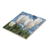 Mooie witte Tulpen Tegeltje (Zijkant)