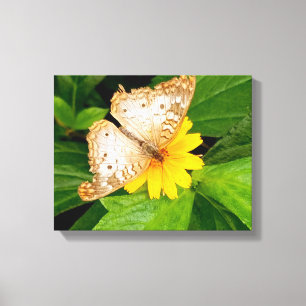 mooie witte vlinder mot gele bloem canvas afdruk