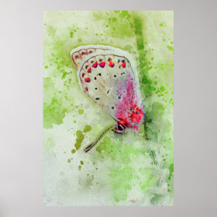 mooie witte vlinder op een steel schilderij poster