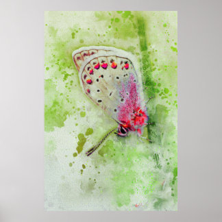 Mooie witte vlinder op een stengelschilderij poster