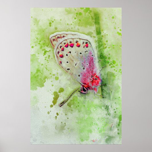 Mooie witte vlinder op een stengelschilderij poster (Voorkant)