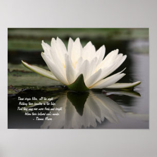 Mooie, witte waterLily die op een meer drijft Poster