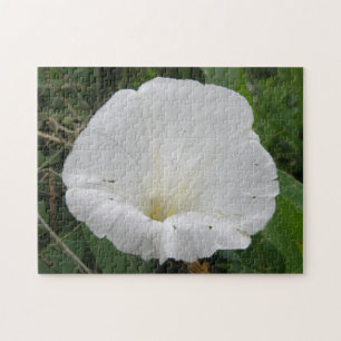 Mooie Witte Winde Bloem Puzzel