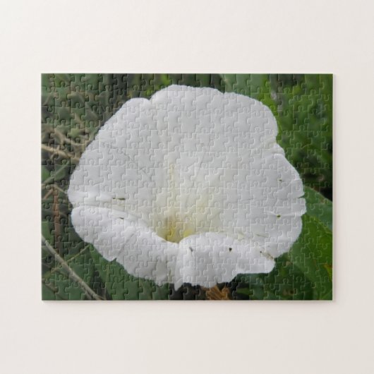 Mooie Witte Winde Bloem Puzzel (Horizontaal)