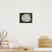 Mooie Witte Windebloem Bloem Poster (Keuken)