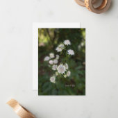 Mooie witte zomerbloem notitiekaartje (Voorkant / Achterkant in situ)