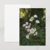 Mooie witte zomerbloem notitiekaartje (Voorkant / Achterkant)