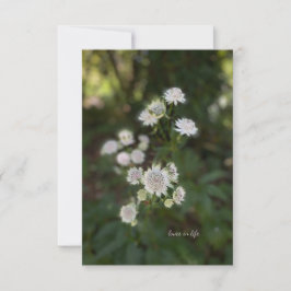 Mooie witte zomerbloem notitiekaartje