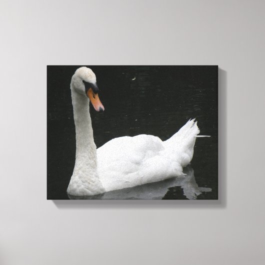 Mooie Witte Zwaan Canvasprint Canvas Afdruk (Voorkant)