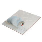 Mooie witte zwaan op wit tegeltje (Zijkant)