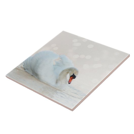 Mooie witte zwaan op wit tegeltje (Zijkant)