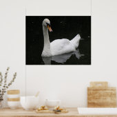 Mooie Witte Zwaan Poster (Keuken)