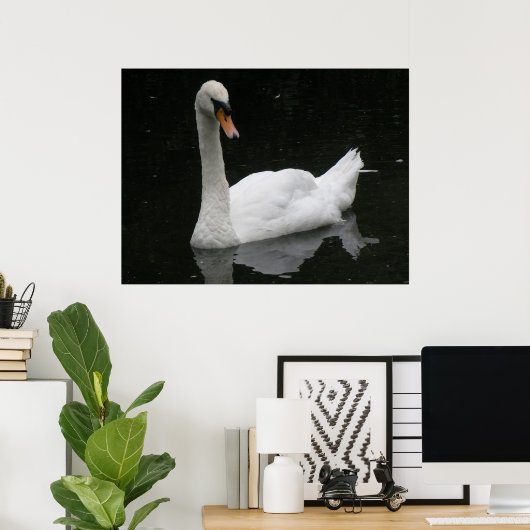 Mooie Witte Zwaan Poster (Thuiskantoor)