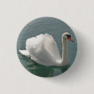 Mooie witte zwaan ronde button 3,2 cm