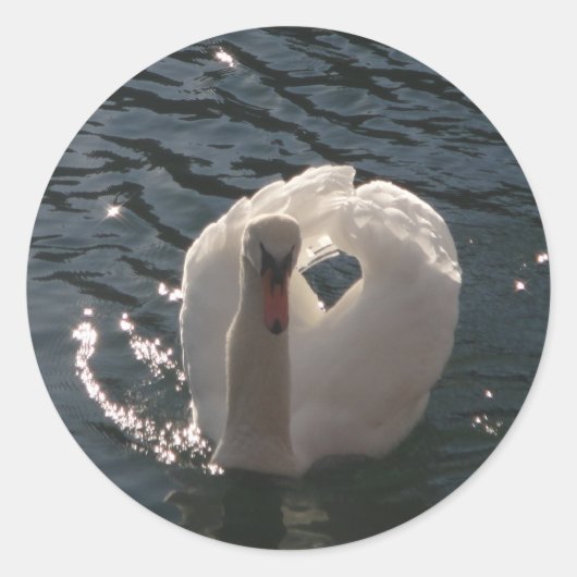 Mooie witte zwaan ronde sticker (Voorkant)
