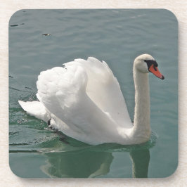 Mooie witte zwaluw bier onderzetter