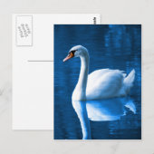 Mooie witte zwaluw in water briefkaart (Voorkant / Achterkant)