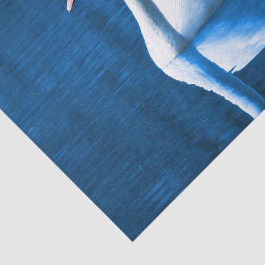 Mooie witte zwaluw in water tissuepapier (Detail)