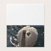 Mooie witte zwaluw kaart (Buitenkant ongevouwen)