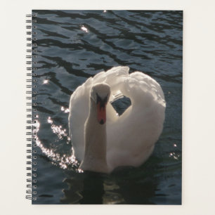 Mooie witte zwaluw planner