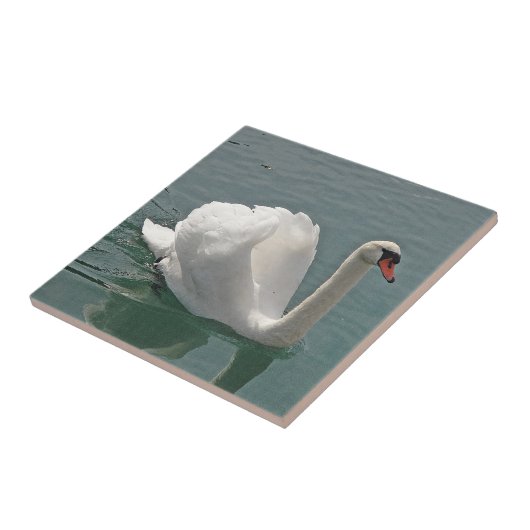 Mooie witte zwaluw tegeltje (Zijkant)