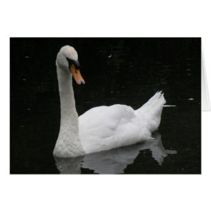 Mooie witte zwenkkaart