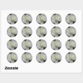 Mooie witwasboer ronde sticker (Vel)