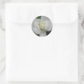 Mooie witwasboer ronde sticker (Tas)