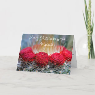 Mooie woestijn groeten met rode cactus bloemen feestdagen kaart