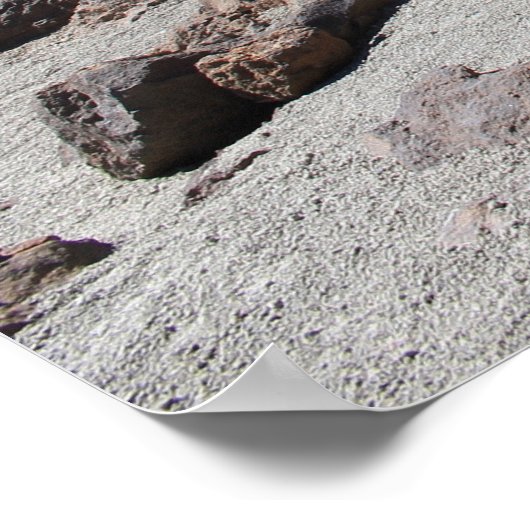 Mooie woestijn poster (Hoek)