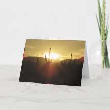 Mooie woestijn zonsondergang foto met cactus
